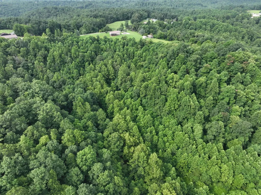 9998 Hurst School Road Mckee KY 40447