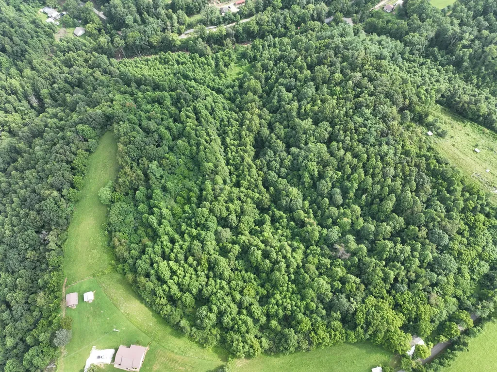 9998 Hurst School Road Mckee KY 40447