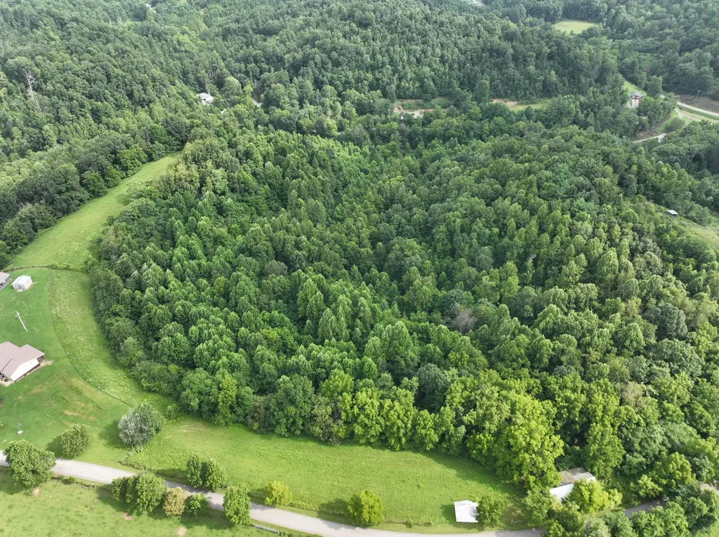 9998 Hurst School Road Mckee KY 40447