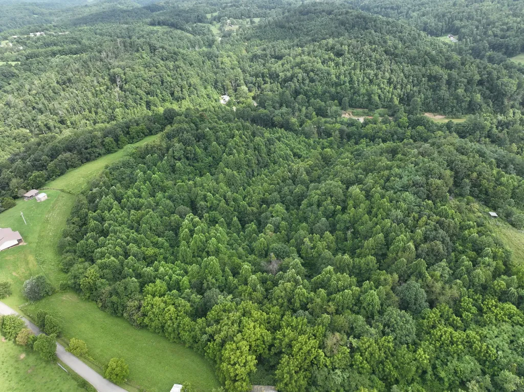 9998 Hurst School Road Mckee KY 40447