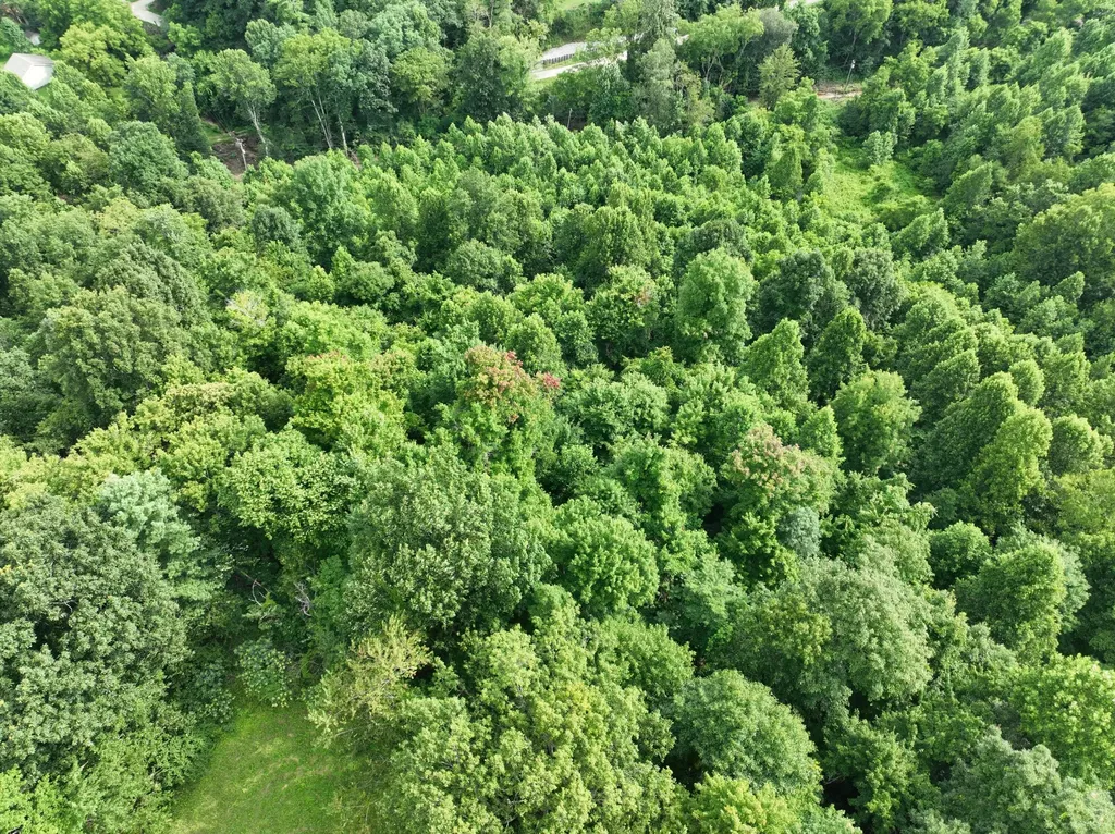 9998 Hurst School Road Mckee KY 40447