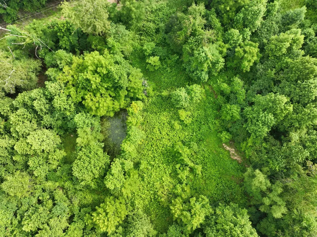 9998 Hurst School Road Mckee KY 40447