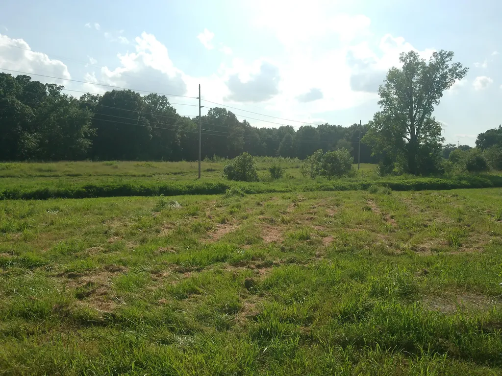 2631 Husband Road Paducah KY 42003