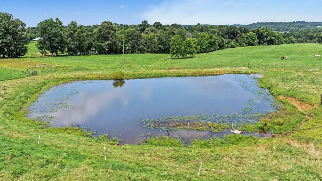 141 Leech Hill Cemetery Road Fredonia KY 42411