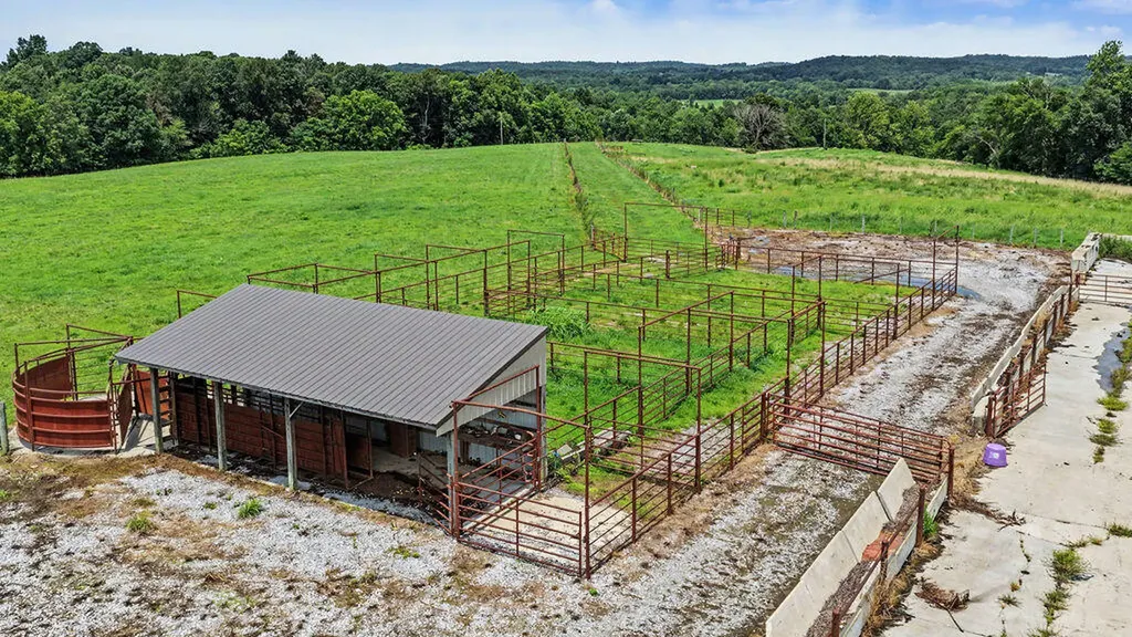 141 Leech Hill Cemetery Road Fredonia KY 42411