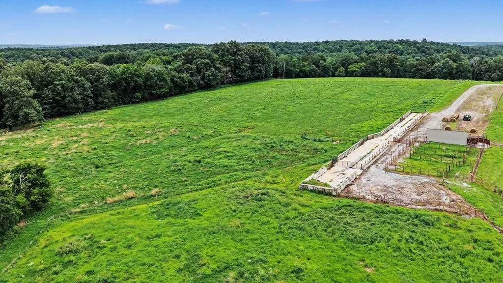 141 Leech Hill Cemetery Road Fredonia KY 42411