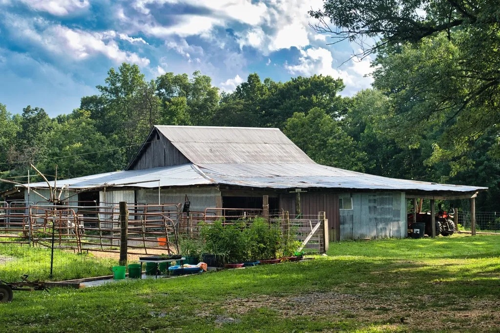 1321 Ky-80 Windsor KY 42565