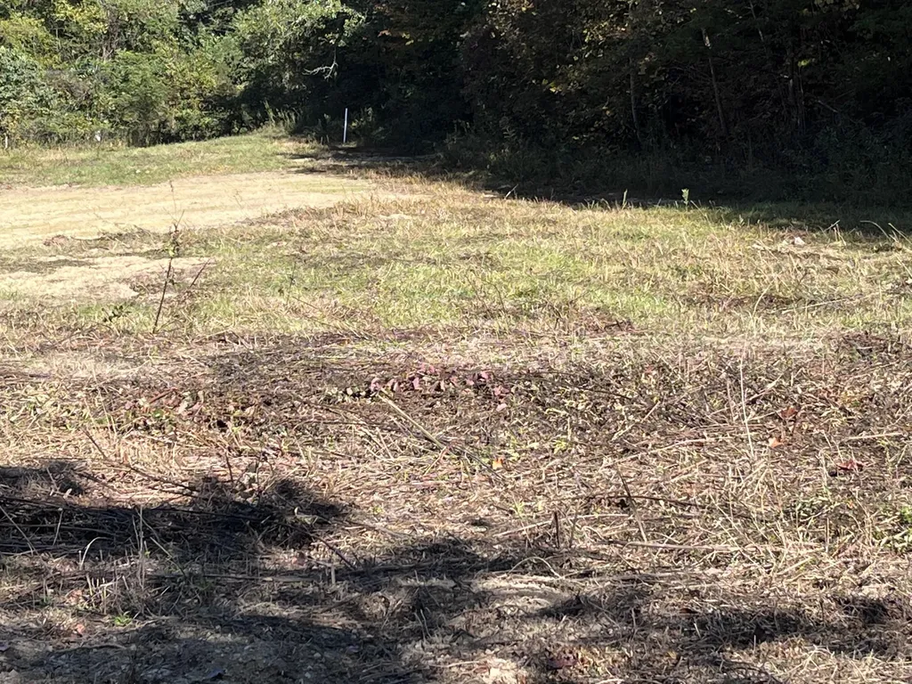 492 Lowder Fork South Shore KY 41175