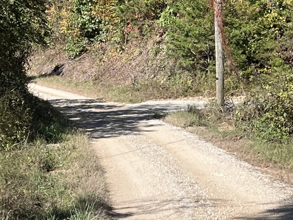 492 Lowder Fork South Shore KY 41175