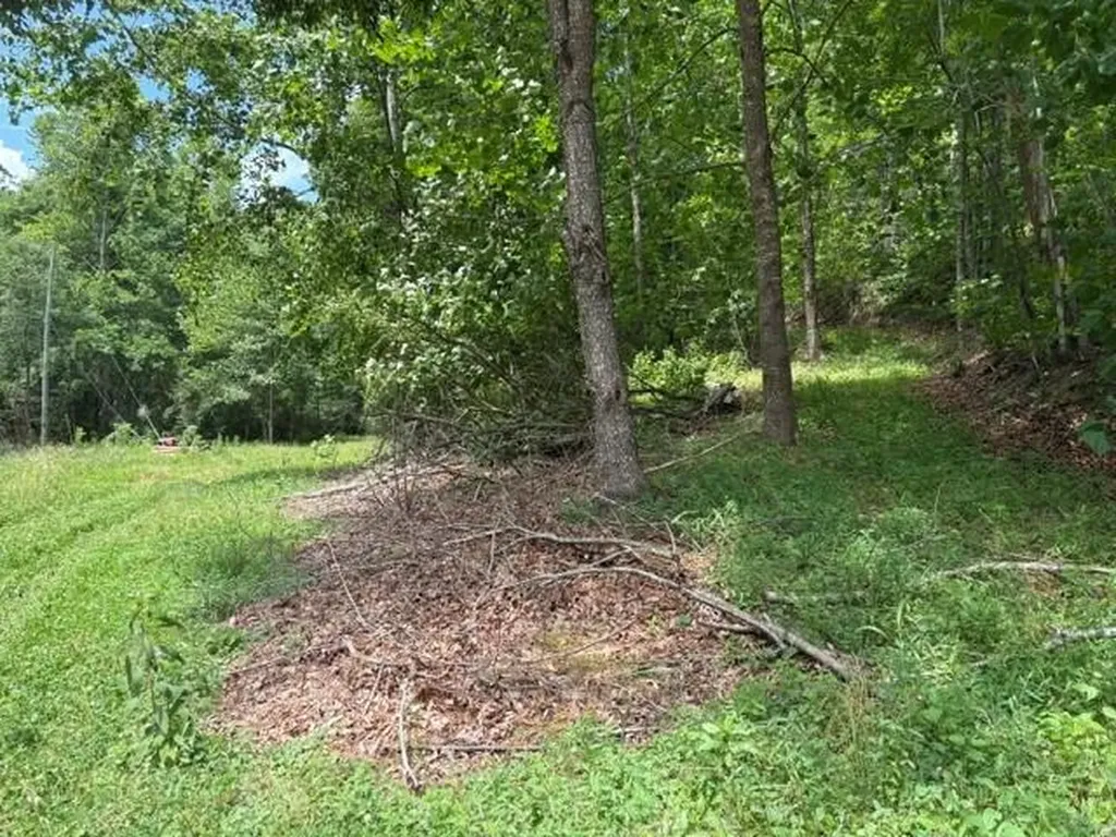 492 Lowder Fork South Shore KY 41175