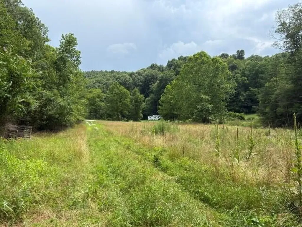 492 Lowder Fork South Shore KY 41175