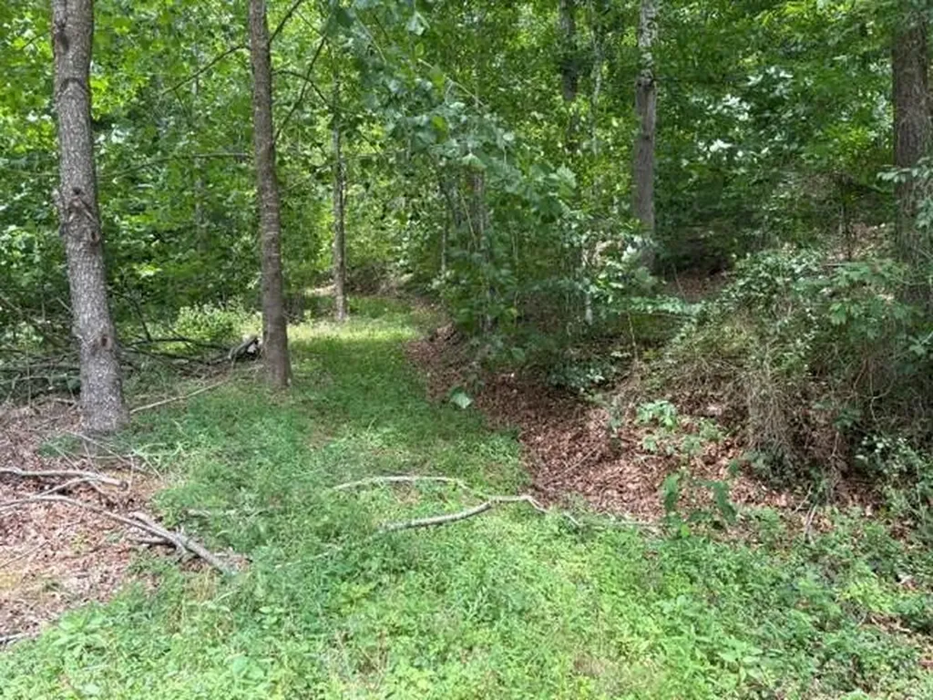 492 Lowder Fork South Shore KY 41175