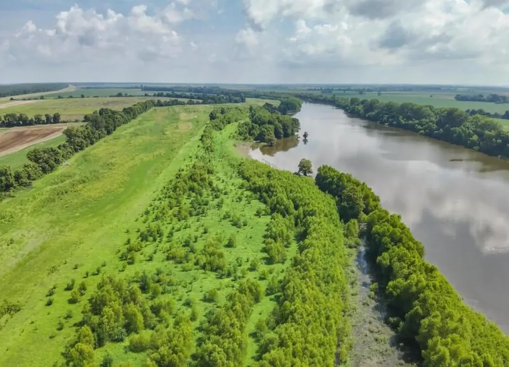 000 Sutton Road Hickman KY 42050
