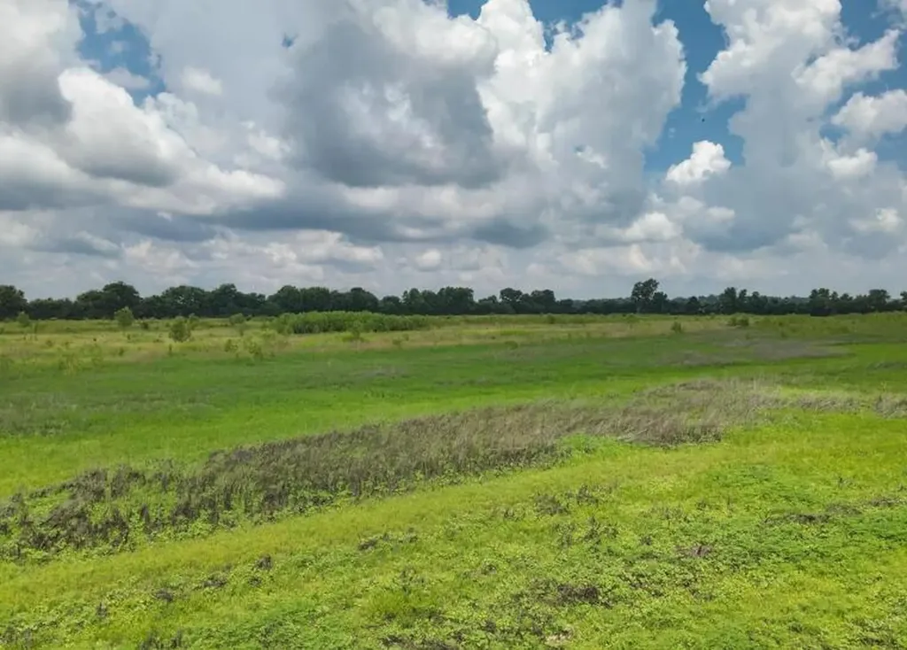 000 Sutton Road Hickman KY 42050