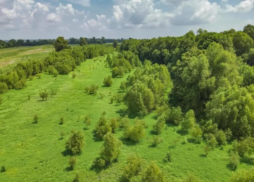 000 Sutton Road Hickman KY 42050