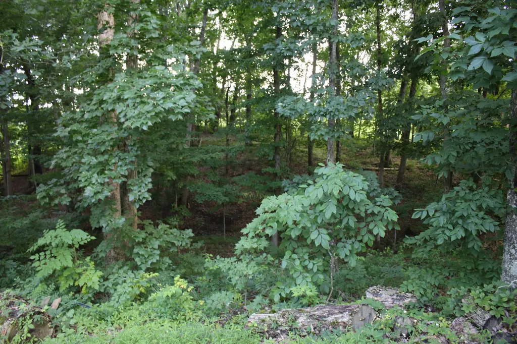 285 Von Linger Lane Stanford KY 40484