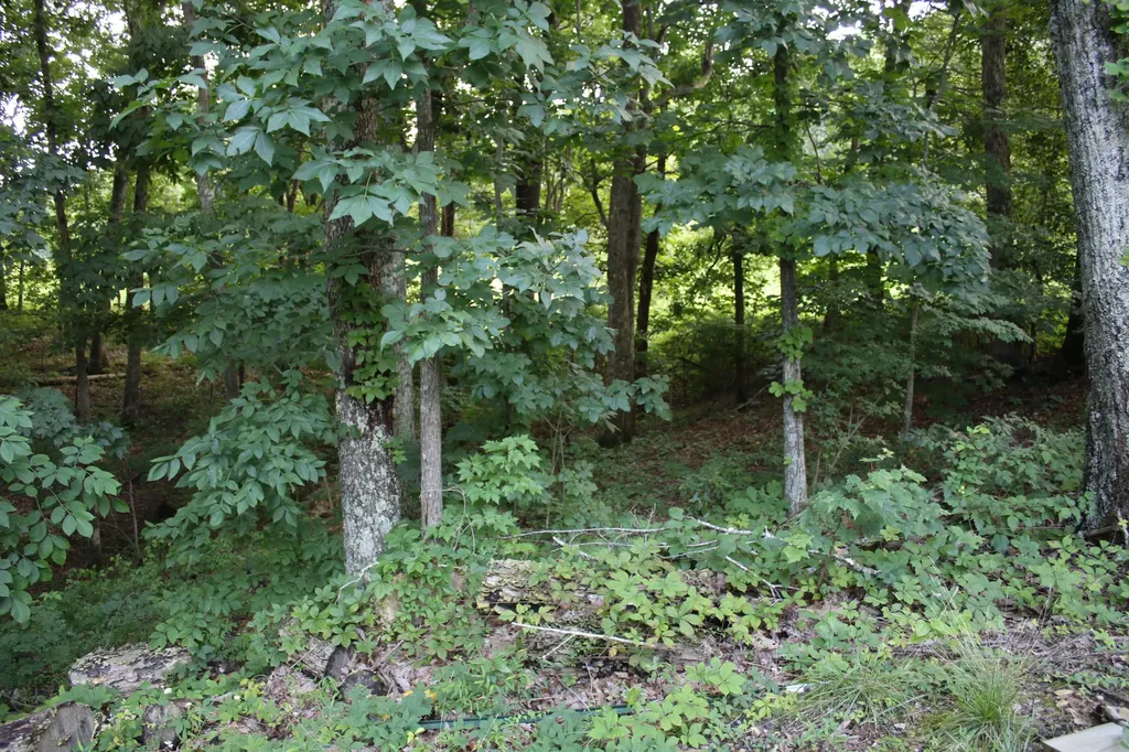 285 Von Linger Lane Stanford KY 40484