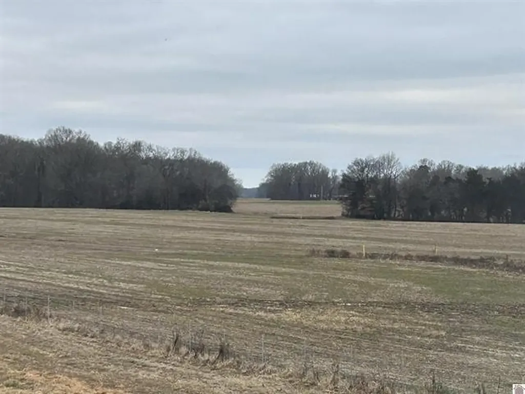 00 S 641 Highway Murray KY 42071