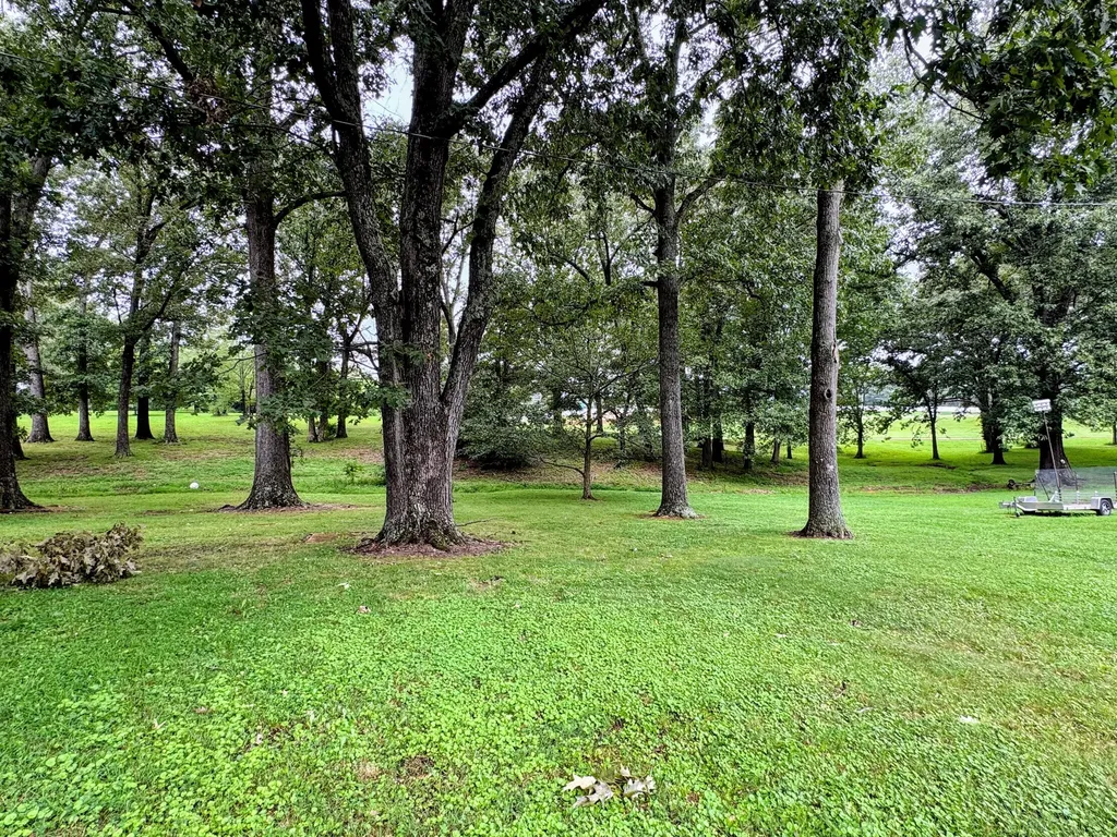 1728 Sycamore Drive Benton KY 42025