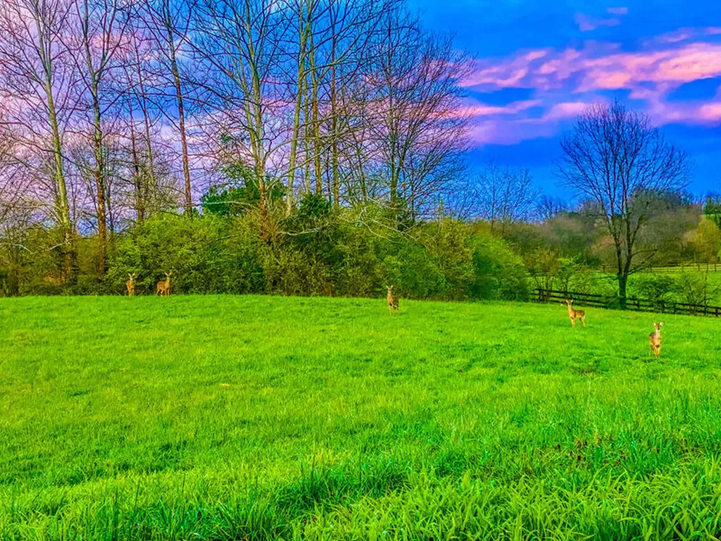 699 Davistown Road Lancaster KY 40444