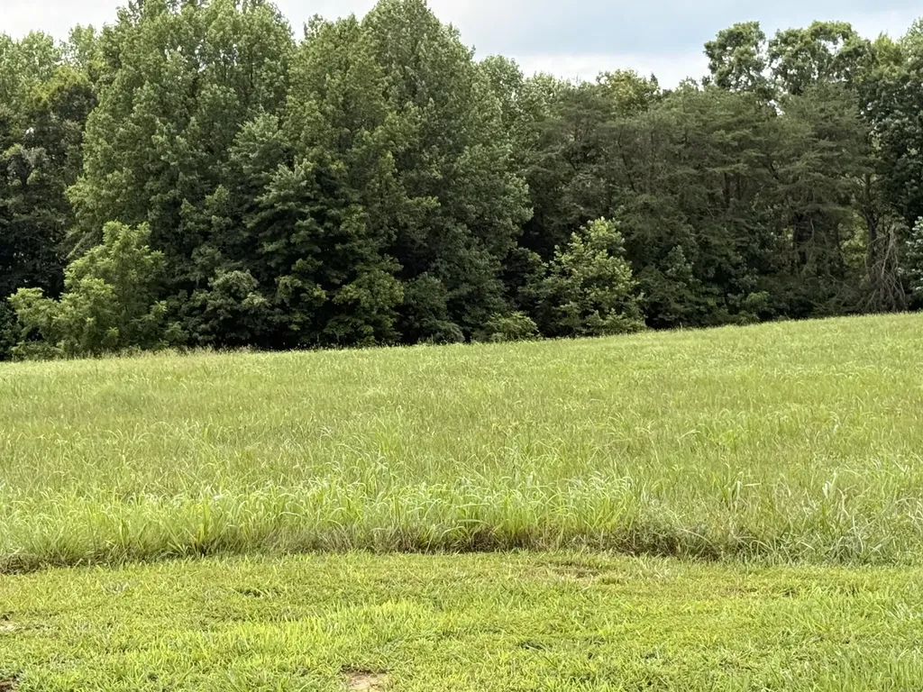 129 Wedge Way Russell Springs KY 42642