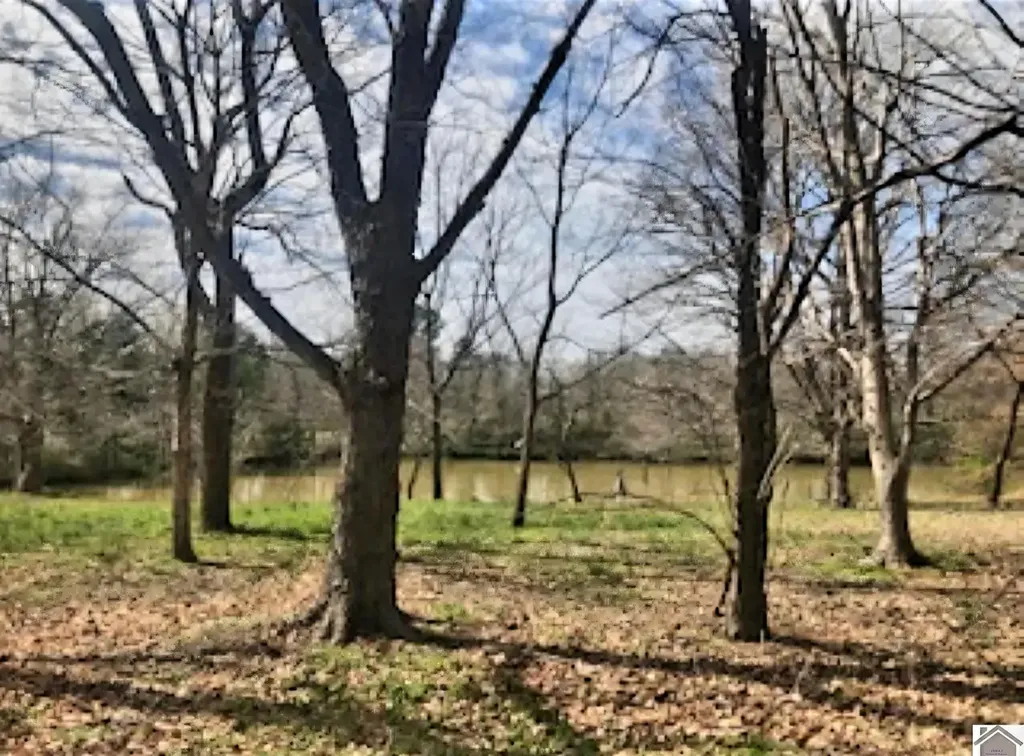 5616 Kentucky 339 Mayfield KY 42066