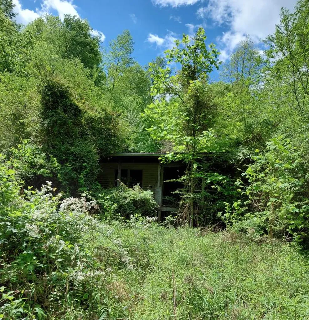 803 Hall Branch Road Topmost KY 41862