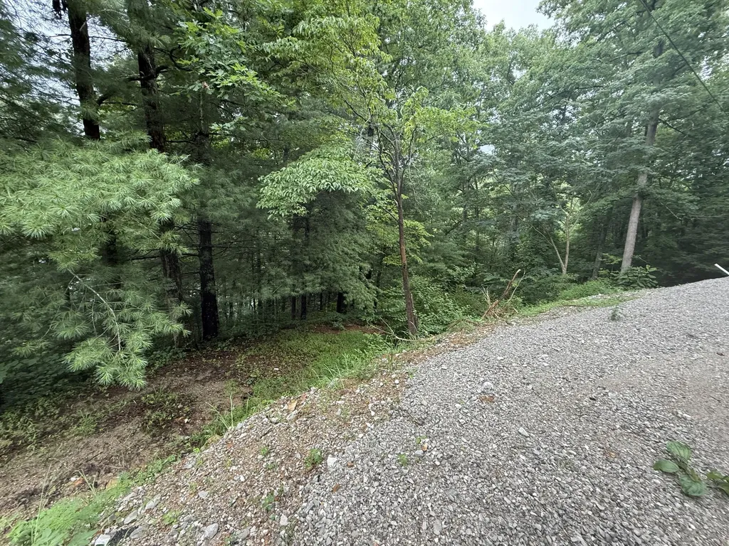 Lots 21 And 22 Laurel Cove Road London KY 40744