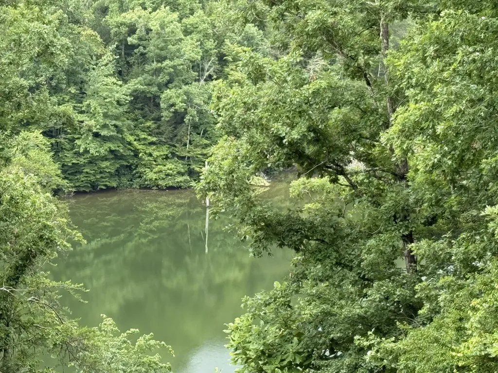 Lots 21 And 22 Laurel Cove Road London KY 40744
