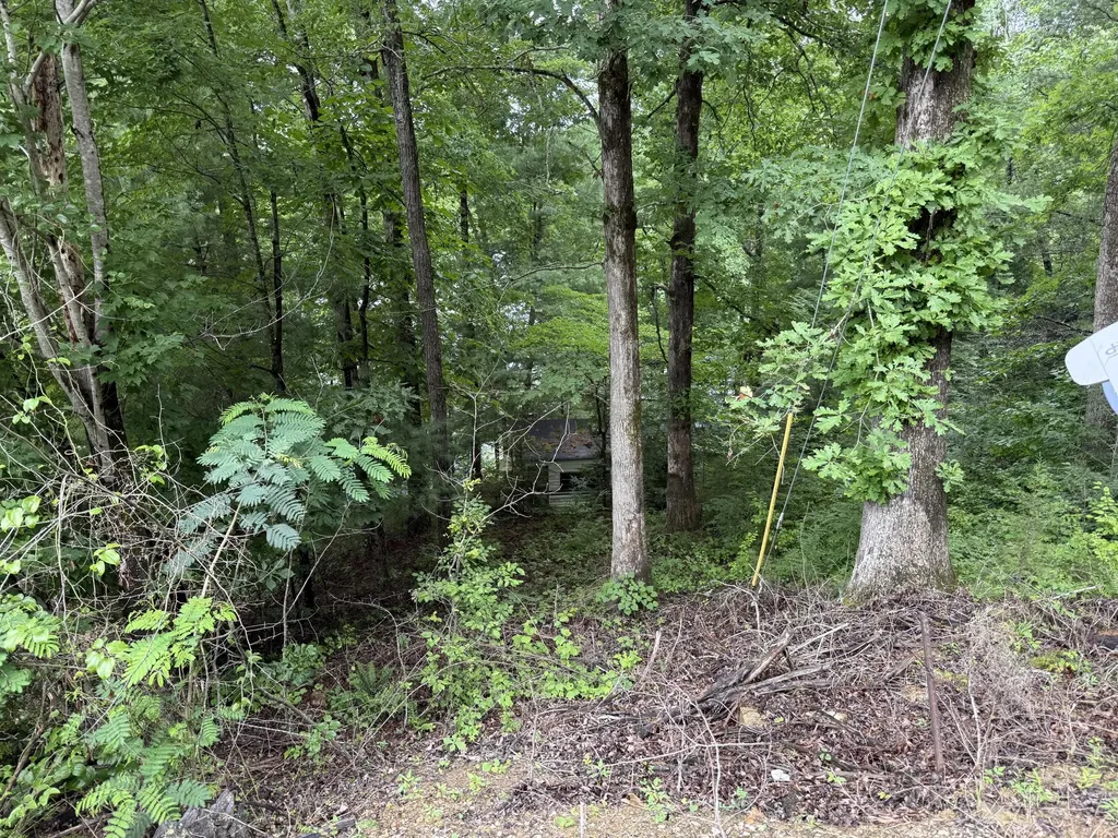 Lots 21 And 22 Laurel Cove Road London KY 40744