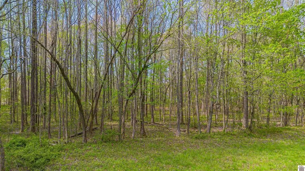 1740 Husband Road Paducah KY 42003