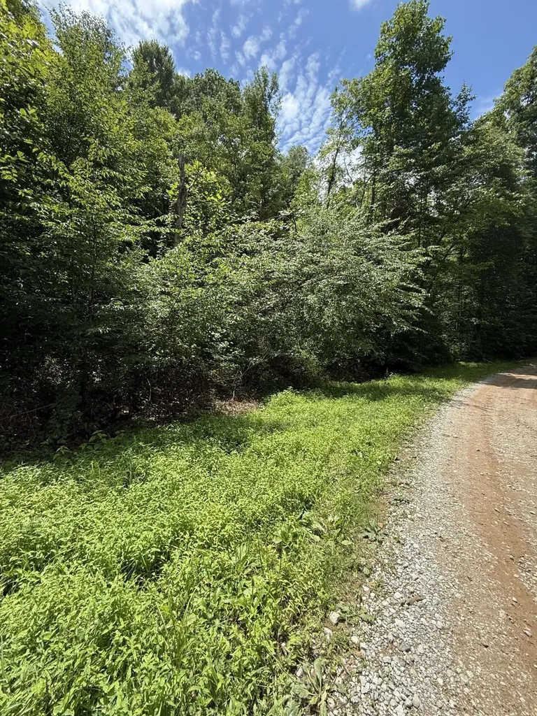 9999 Hwy 6 Big Indian Creek Road Woodbine KY 40771
