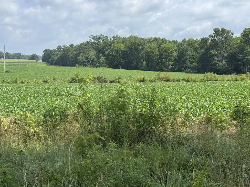 Lot 1 Zander Road Hopkinsville KY 42240