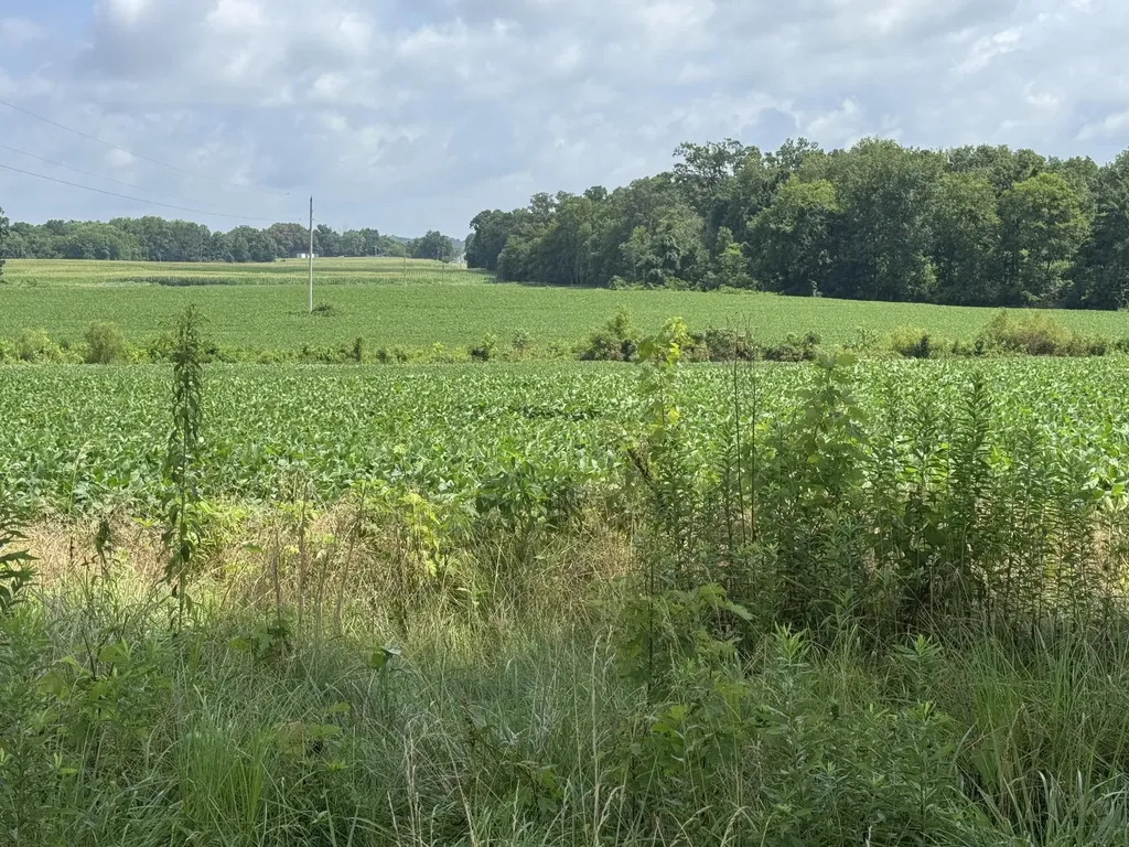 Lot 1 Zander Road Hopkinsville KY 42240