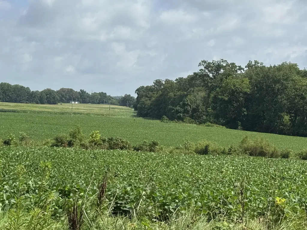 Lot 1 Zander Road Hopkinsville KY 42240