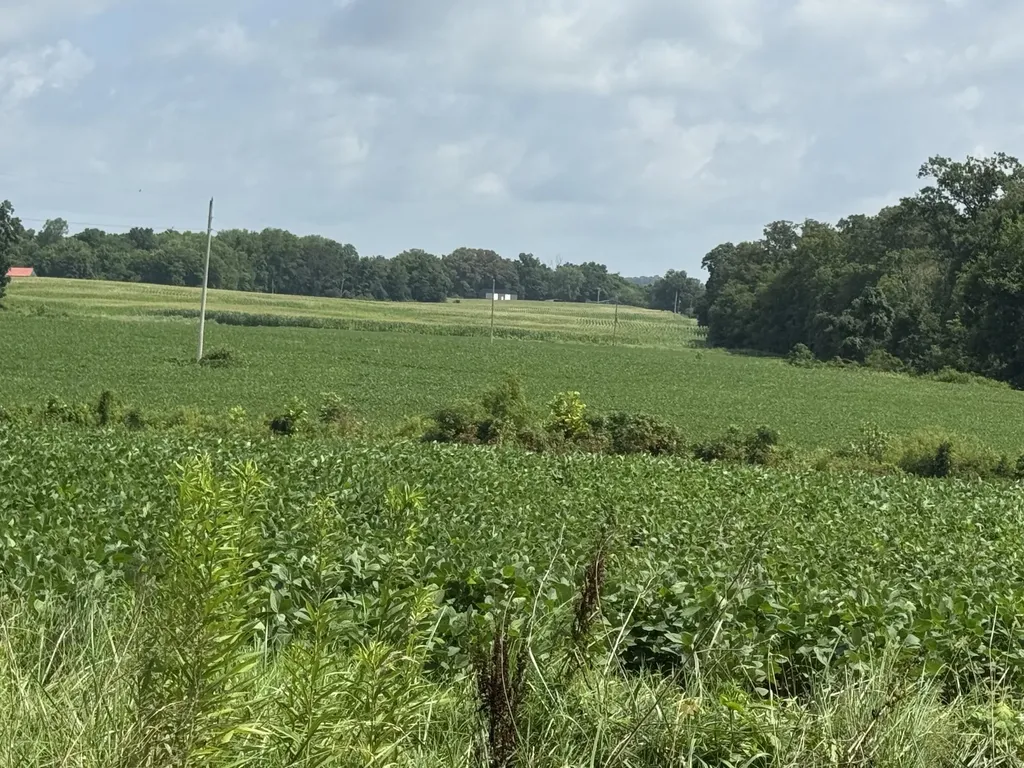 Lot 1 Zander Road Hopkinsville KY 42240