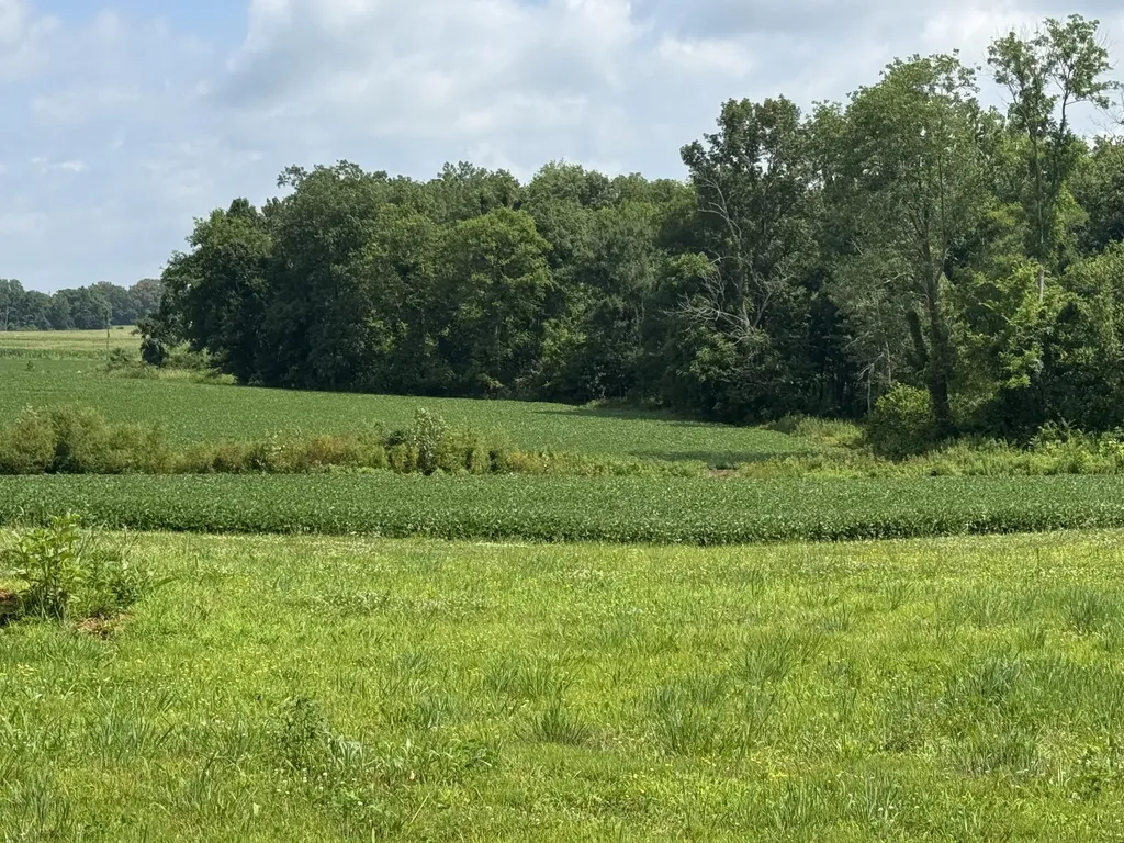Lot 1 Zander Road Hopkinsville KY 42240