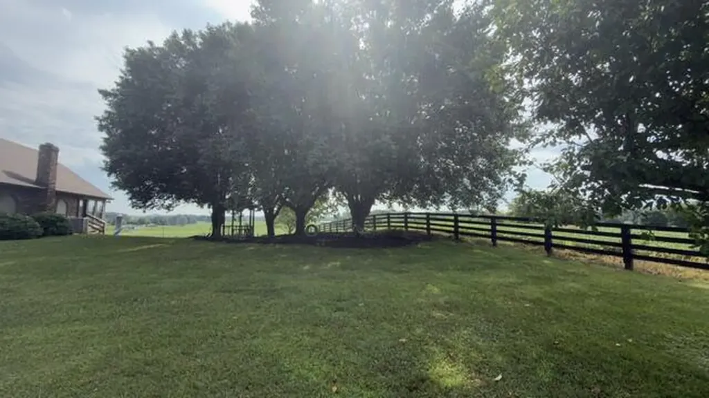 8645 Kentucky 39 Highway Somerset KY 42503