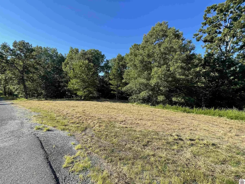Lot 45 & 46 000 Patricia Drive New Concord KY 42076