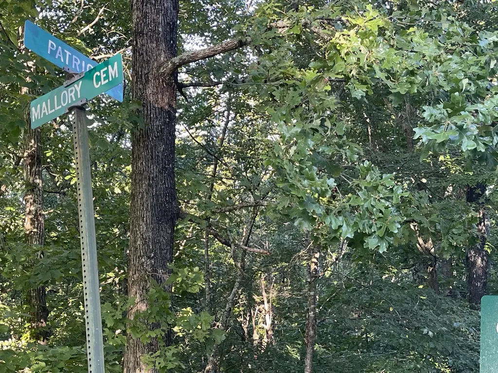 Lot 45 & 46 000 Patricia Drive New Concord KY 42076
