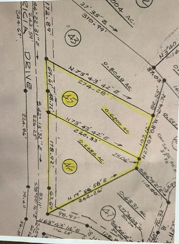 Lot 45 & 46 000 Patricia Drive New Concord KY 42076