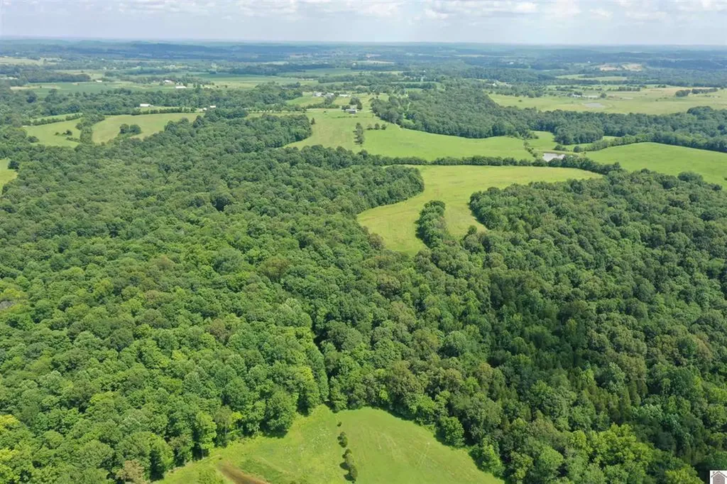 0 Turkey Knob Road Marion KY 42064