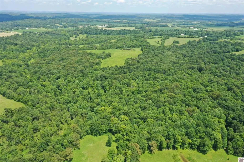 0 Turkey Knob Road Marion KY 42064