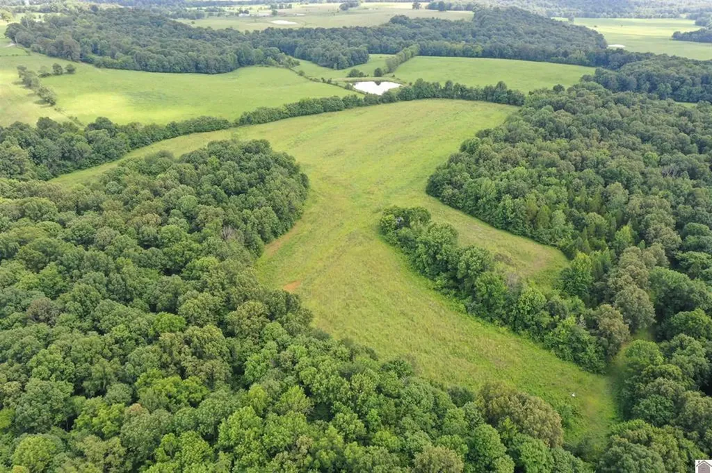 0 Turkey Knob Road Marion KY 42064
