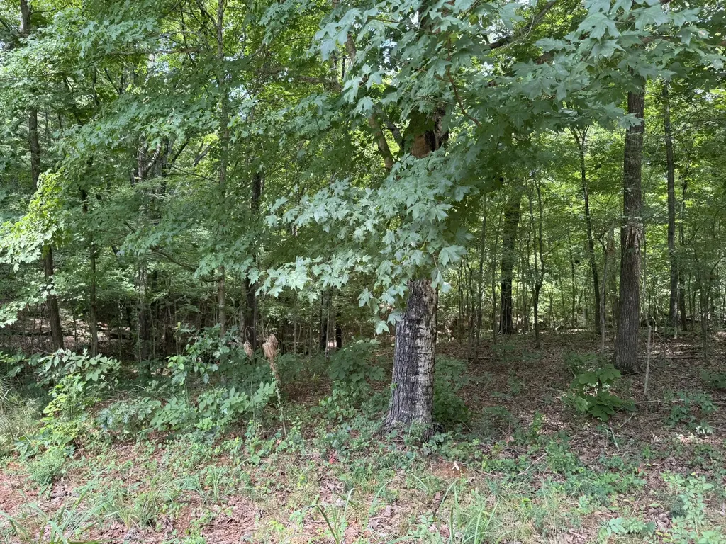 Lot 7 Woodsong Lane Murray KY 42071