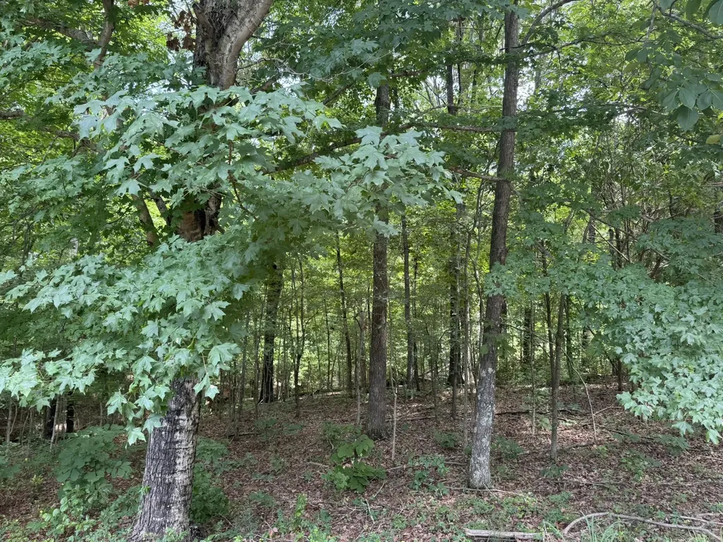 Lot 7 Woodsong Lane Murray KY 42071