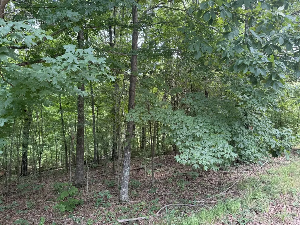 Lot 7 Woodsong Lane Murray KY 42071
