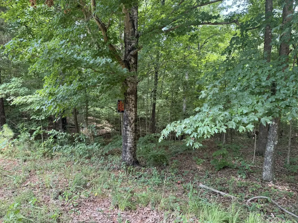 Lot 7 Woodsong Lane Murray KY 42071