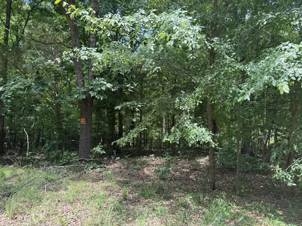 Lot 7 Woodsong Lane Murray KY 42071