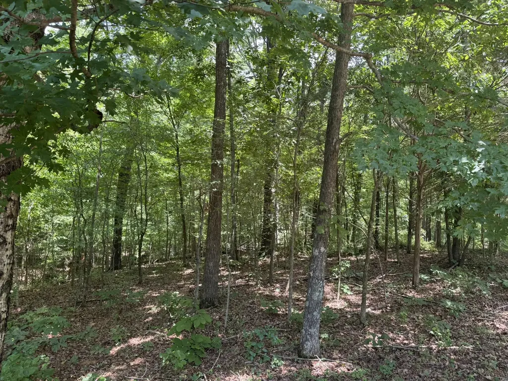 Lot 7 Woodsong Lane Murray KY 42071